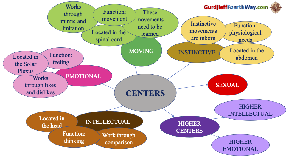 Mental Map